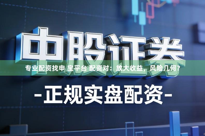 专业配资找申 宝平台 配资对：放大收益，风险几何？