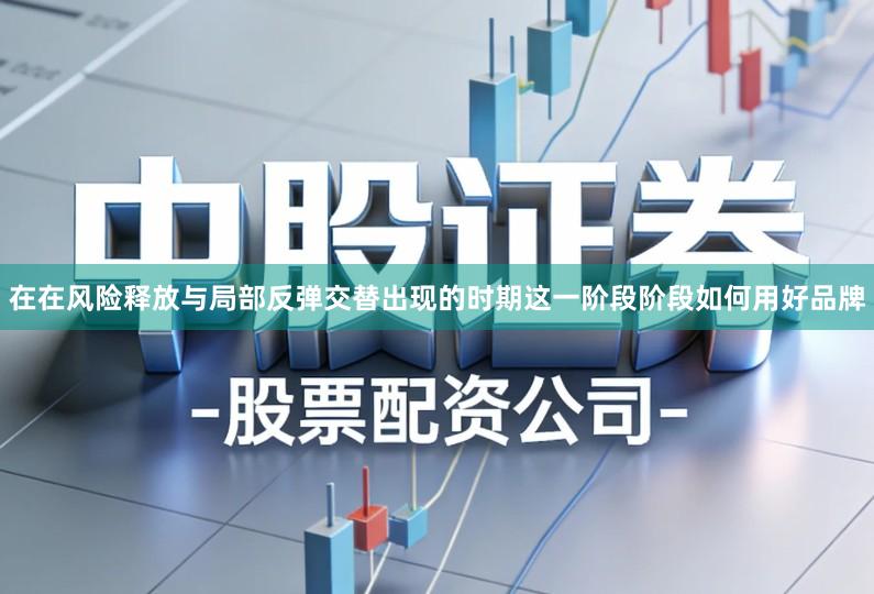 在在风险释放与局部反弹交替出现的时期这一阶段阶段如何用好品牌