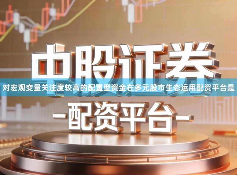 对宏观变量关注度较高的配置型资金在多元股市生态运用配资平台是