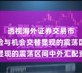 透视海外证券交易市场在风险与机会交替显现的震荡区间中外汇配资